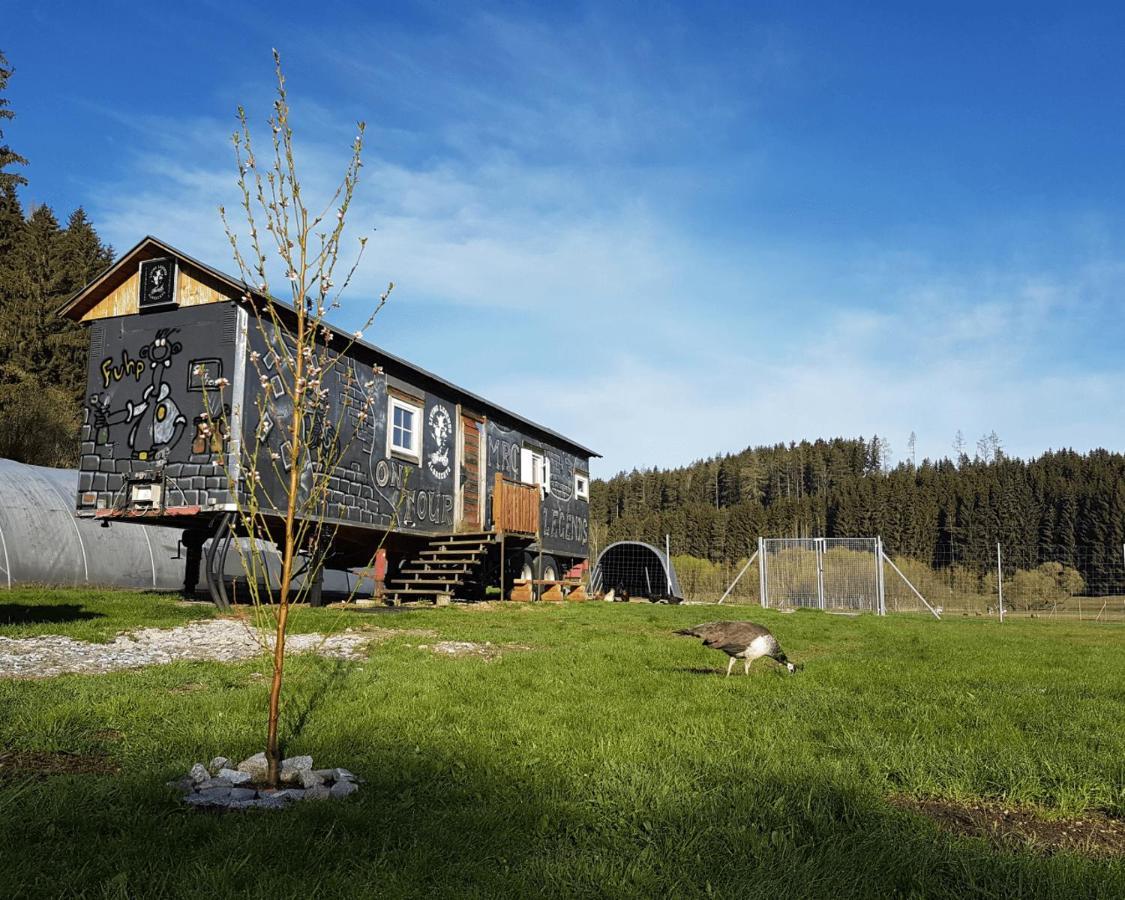 Hotel Living Legends - Tiny House auf den Wiesen der Edermühle Grosspertholz Exterior foto