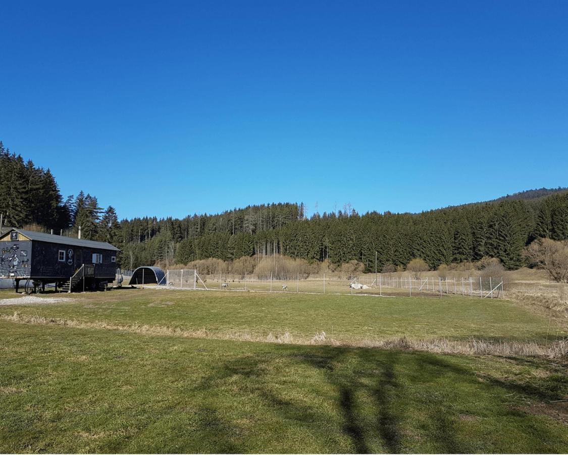 Hotel Living Legends - Tiny House auf den Wiesen der Edermühle Grosspertholz Exterior foto